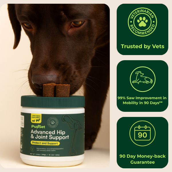 Advanced Hip & Joint Support