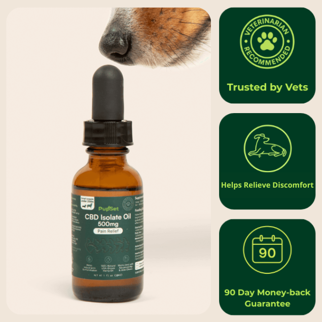 CBD Oil