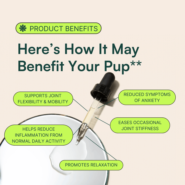CBD Oil