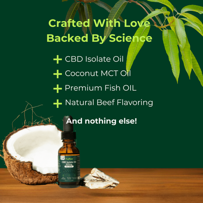 CBD Oil