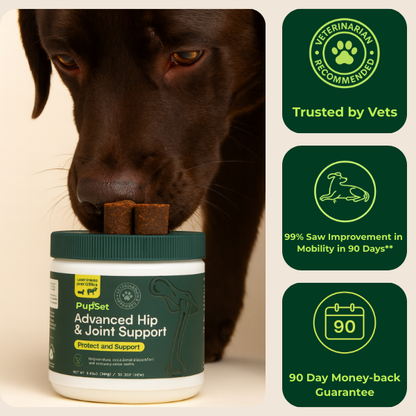 Advanced Hip &amp; Joint Support 